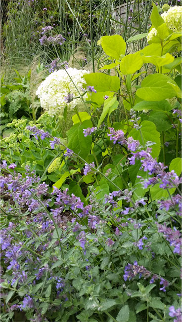About qualified Garden